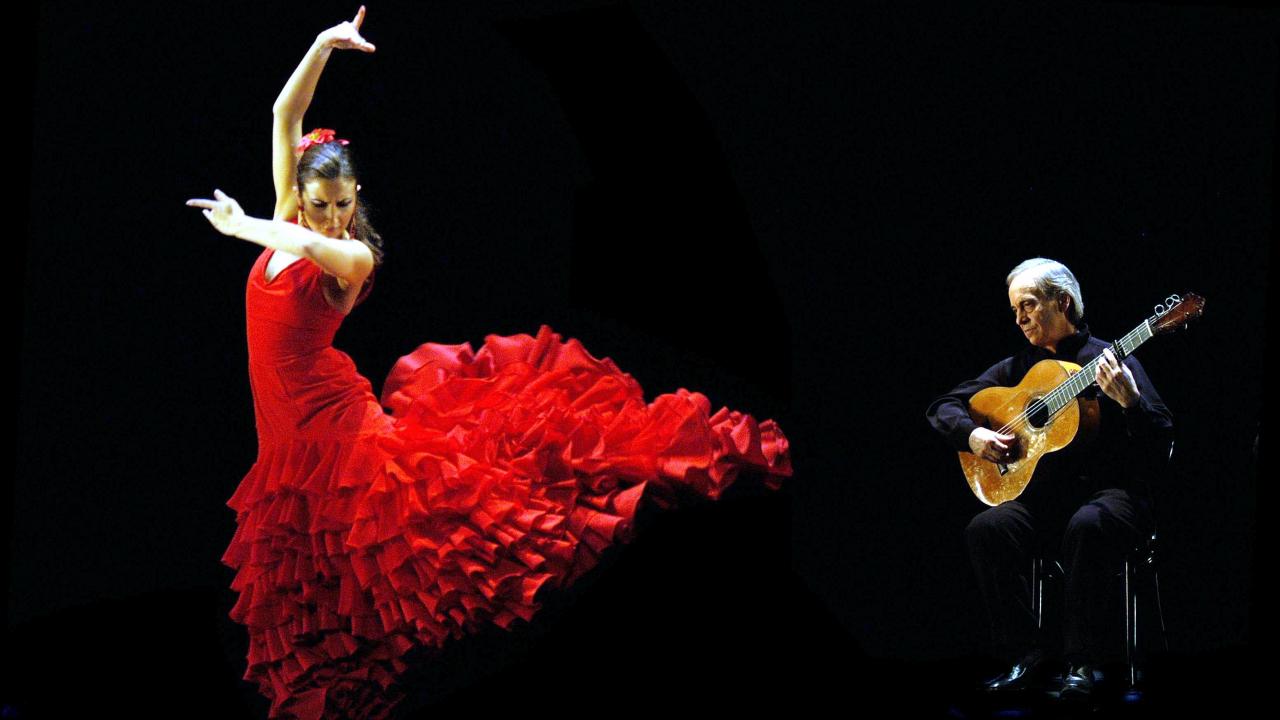 Flamenco Dance Videos